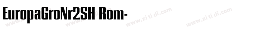 EuropaGroNr2SH Rom字体转换